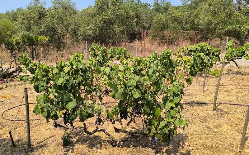 Mountain wilderness adventure