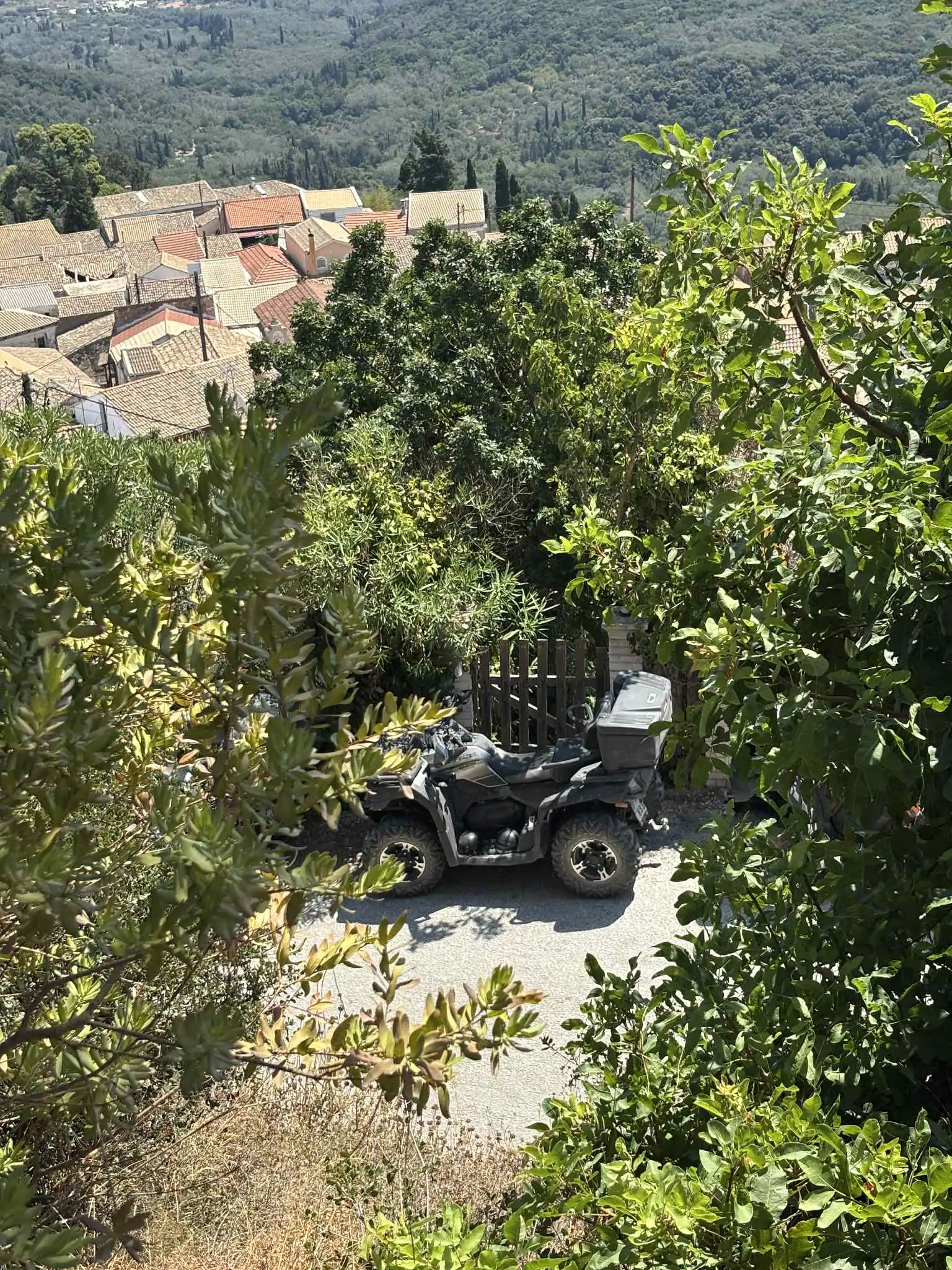 Wildlife and nature exploration